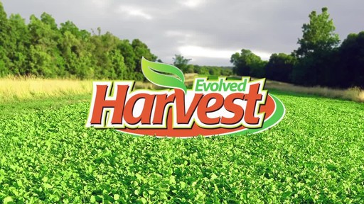Evolved Harvest 7 Card Stud Food Plot Blend 1/4 Acre - image 10 from the video